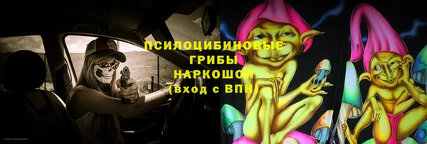 ECSTASY Алзамай